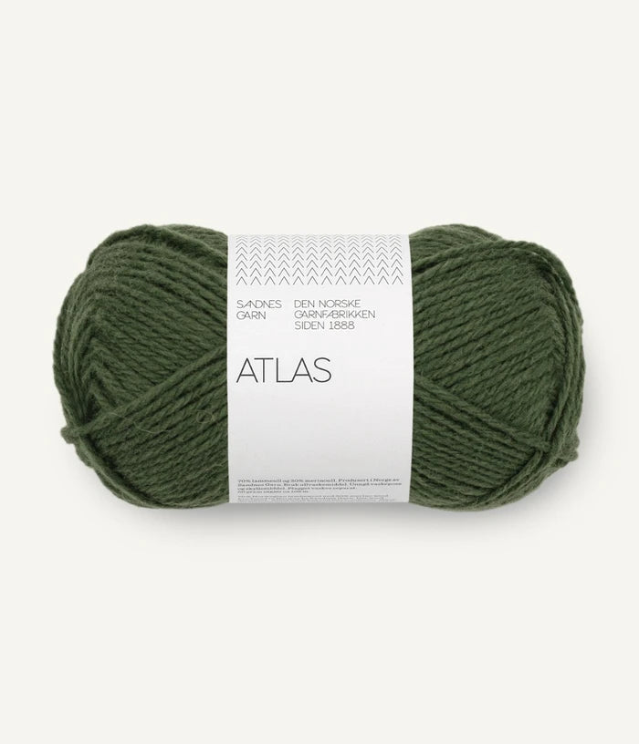 8571 Dark Forest Green - Atlas