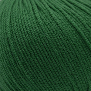 352 Verdant Green - 220 Superwash®