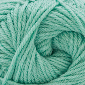 134 Lichen - 220 Superwash Merino