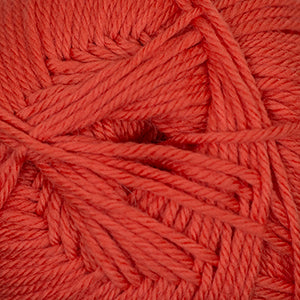 41 Carrot - 220 Superwash Merino