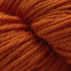 Harvest Pumpkin - 220 Superwash Sport