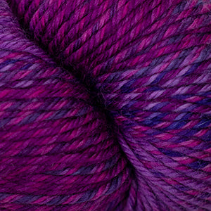 117 Grapes - 220 Superwash Wave
