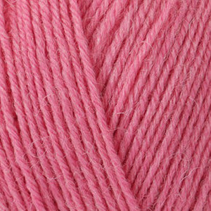 234 Honeysuckle - Signature 4-Ply