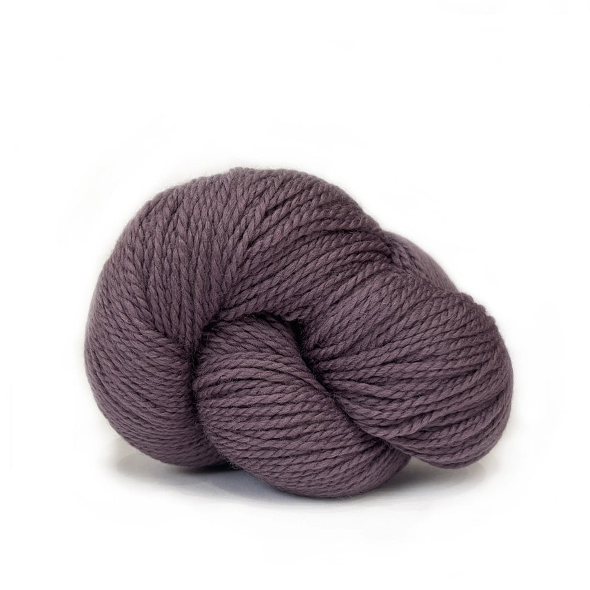 African Violet - Scout