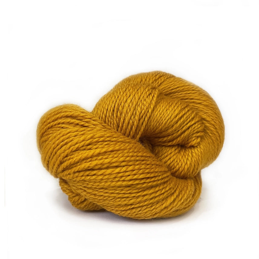 Dandelion - Scout