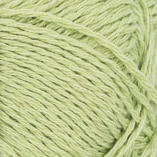 9523 Lime Punch - Line