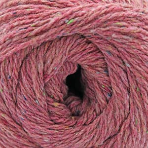Salmon Rose