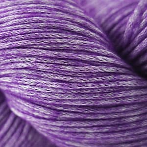 21 Plum - Cantata