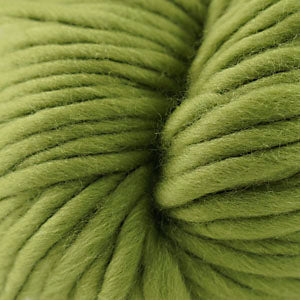 Turtle Green