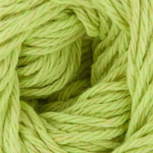 Croton - Clean Cotton