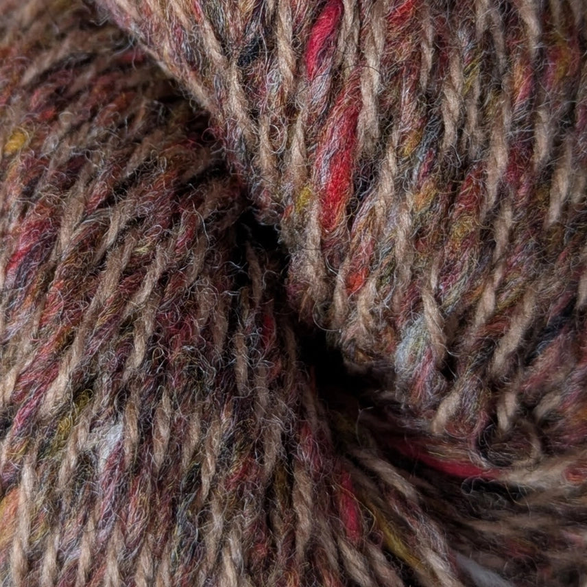 Nutmeg - Skellig DK