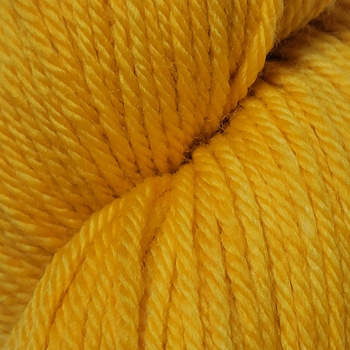 Mustard (NEW)