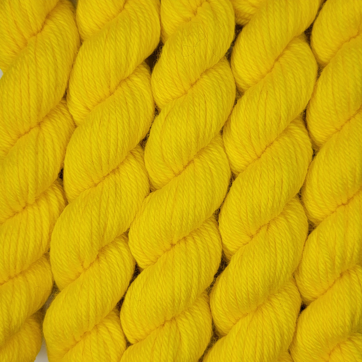 Calendula - Mini Merino Worsted