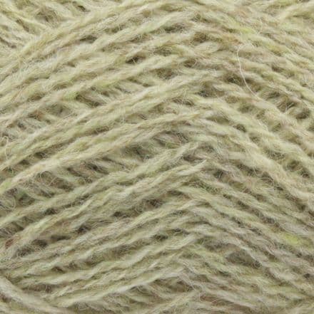 1130 Lichen - Spindrift