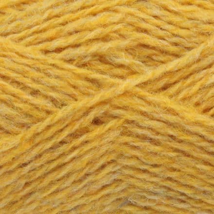 1160 Scotch Broom - Spindrift