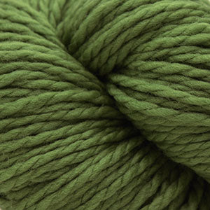 841 Moss - 128 Superwash®