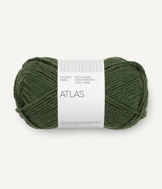 8571 Dark Forest Green - Atlas