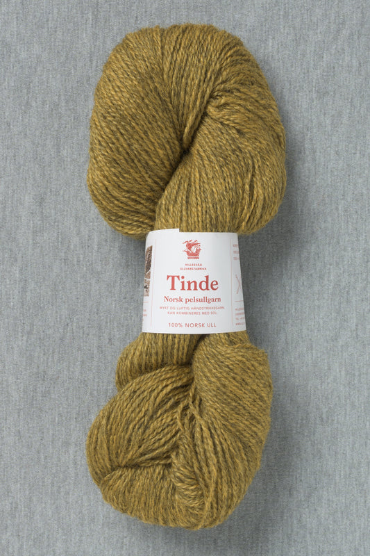 2108 Ocher - Tinde