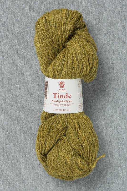 2119 Yellow - Tinde