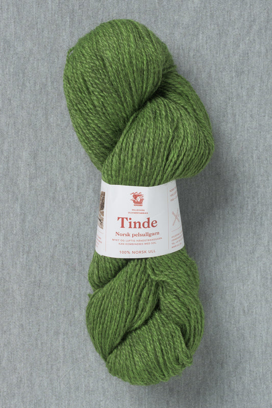 2134 Grass Green - Tinde