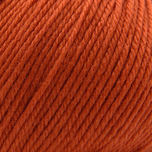 366 Pureed Pumpkin - 220 Superwash®