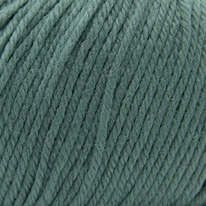 371 Chinois Green - 220 Superwash®