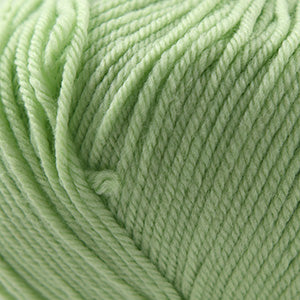 850 Lime Sherbet - 220 Superwash®