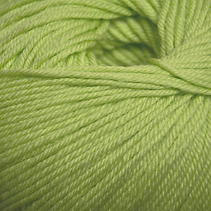 851 Lime - 220 Superwash®