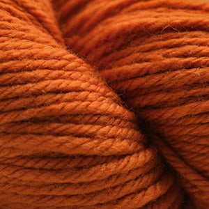 Pumpkin Spice - 220 Superwash® Aran