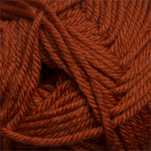 06 Burnt Orange - 220 Superwash Merino
