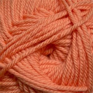 07 Bird of Paradise - 220 Superwash Merino