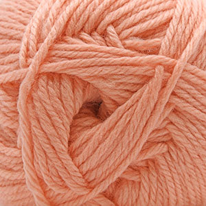 121 Apricot Ice - 220 Superwash Merino