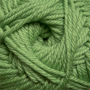 17 Green Tea - 220 Superwash Merino