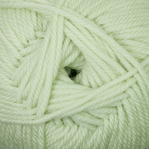56 Seafoam Green - 220 Superwash Merino