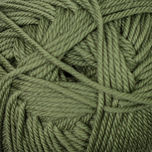 58 Iquana - 220 Superwash Merino