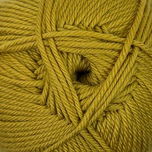 69 Golden Palm - 220 Superwash Merino