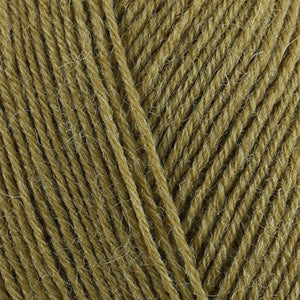 351 Cardamom - Signature 4-Ply