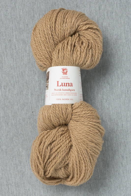 461 Camel  - Luna