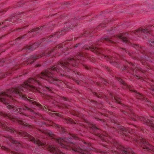 532 Petunia - Ultra Lace