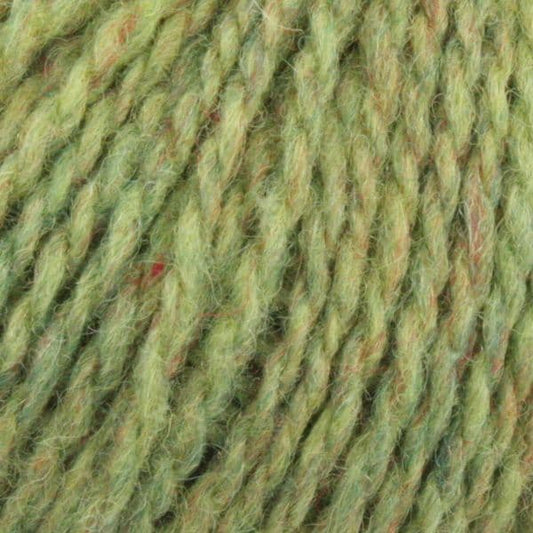 808 Pippin - Heather Aran