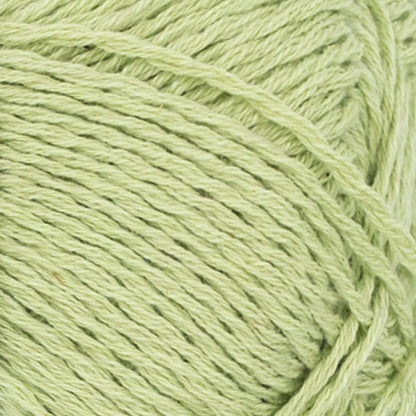 9523 Lime Punch - Line