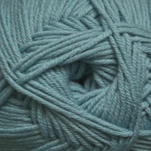 Dusky Teal