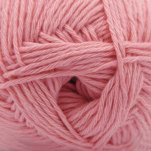 Soft Rose