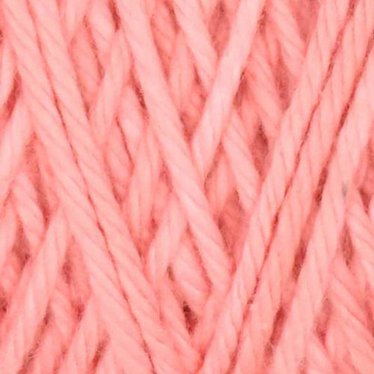 Carnation - Coastel Cotton