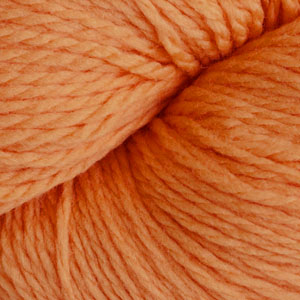 8444 Butternut Squash - Eco+
