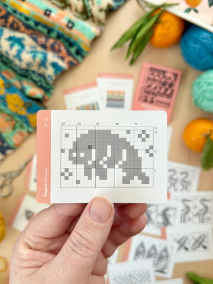 Tropical Doodle Card Deck