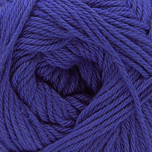 24 Blue Iris  - Pandamonium