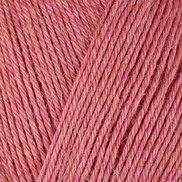 12076 Rhubarb - Vintage Sock
