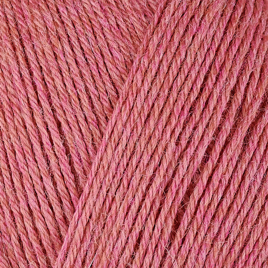 12076 Rhubarb - Vintage Sock