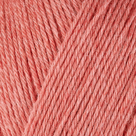 12077 Guava - Vintage Sock